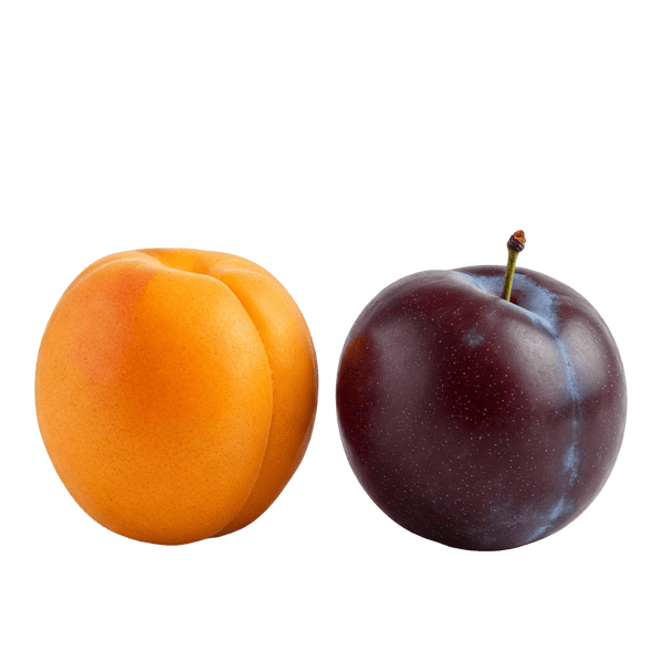 Apricot Plum White Balsamic Vinegar - Tubac Gourmet Foods