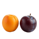 Apricot Plum White Balsamic Vinegar - Tubac Gourmet Foods