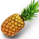 Arizona Desert Honey – Pineapple Infused. 8 oz. - Tubac Gourmet Foods