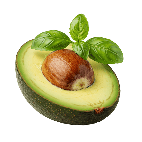 Avocado Basil Oil - Tubac Gourmet Foods