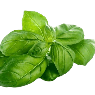 Basil Olive Oil - Tubac Gourmet Foods