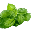 Basil Olive Oil - Tubac Gourmet Foods