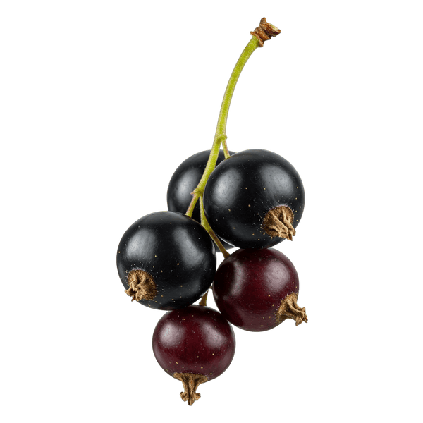 Black Currant Dark Balsamic Vinegar - Tubac Gourmet Foods