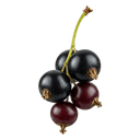 Black Currant Dark Balsamic Vinegar - Tubac Gourmet Foods