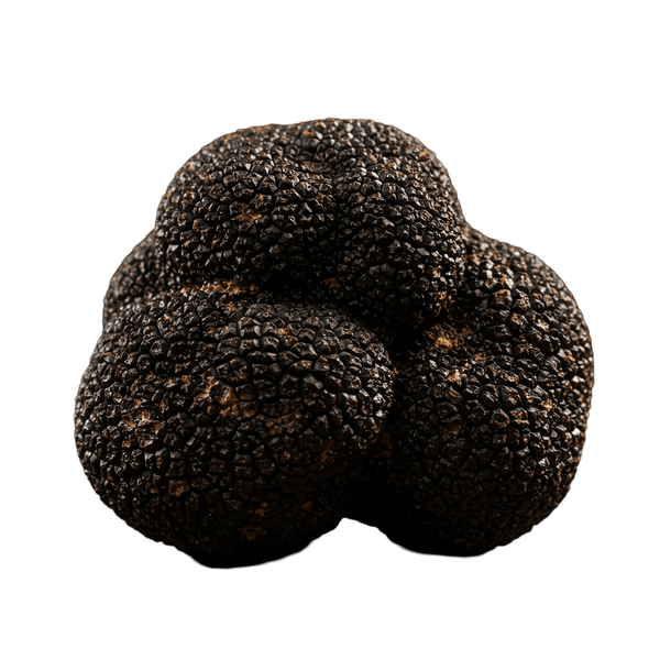 Black Truffle Olive Oil - Tubac Gourmet Foods