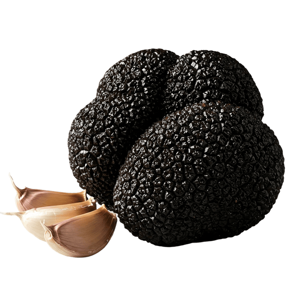 Black Truffle Olive Oil With Garlic - Tubac Gourmet Foods