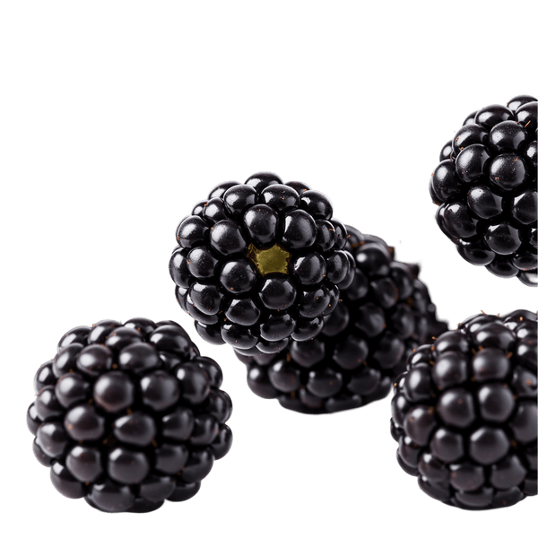 Blackberry Dark Balsamic Vinegar - Tubac Gourmet Foods