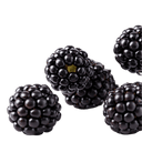 Blackberry Dark Balsamic Vinegar - Tubac Gourmet Foods