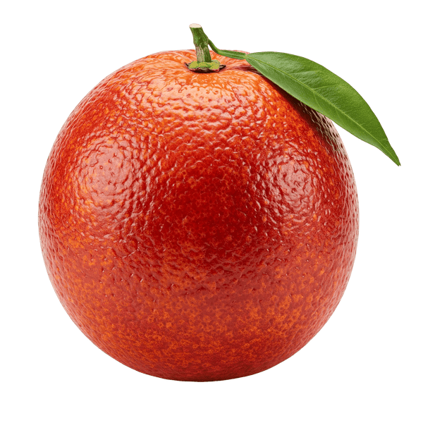 Blood Orange Balsamic Honey Mustard Dressing 12 oz. - Tubac Gourmet Foods