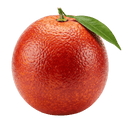 Blood Orange Balsamic Honey Mustard Dressing 12 oz. - Tubac Gourmet Foods