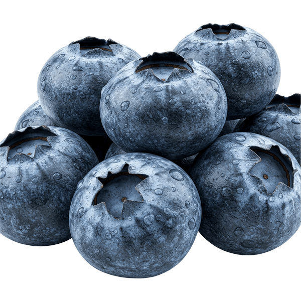 Blueberry White Balsamic Vinegar - Tubac Gourmet Foods