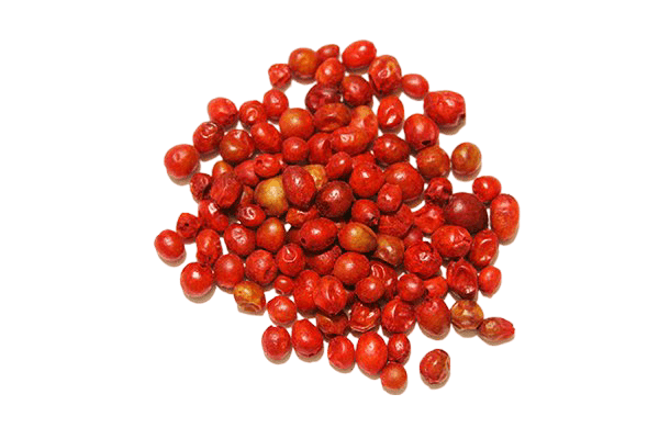 Chiltepin Lime Balsamic Honey Mustard Dressing 12 oz. - Tubac Gourmet Foods