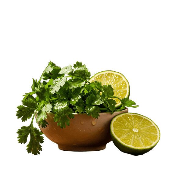Cilantro Lime Olive Oil - Tubac Gourmet Foods