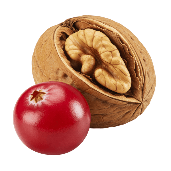 Cranberry Walnut Balsamic Honey Mustard Dressing 12 oz. Bottle - Tubac Gourmet Foods