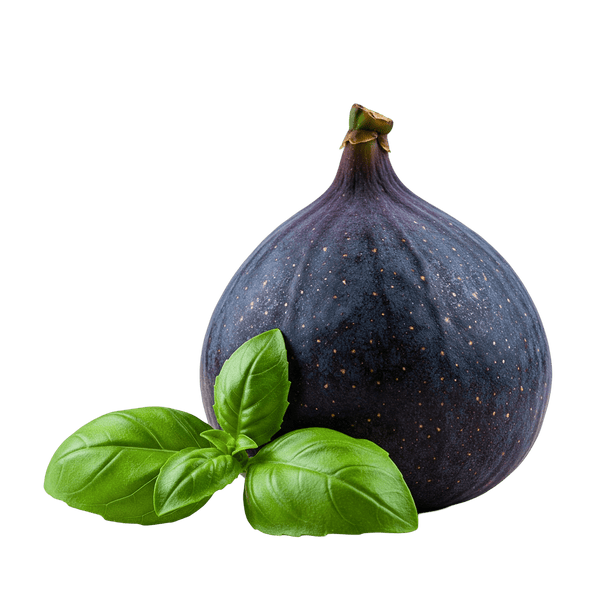 Fig Basil Balsamic Honey Mustard Dressing 12 oz. - Tubac Gourmet Foods