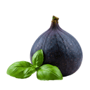 Fig Basil Balsamic Honey Mustard Dressing 12 oz. - Tubac Gourmet Foods