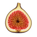 Fig White Balsamic Vinegar - Tubac Gourmet Foods