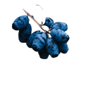 Huckleberry Balsamic Honey Mustard Dressing 12 oz. - Tubac Gourmet Foods