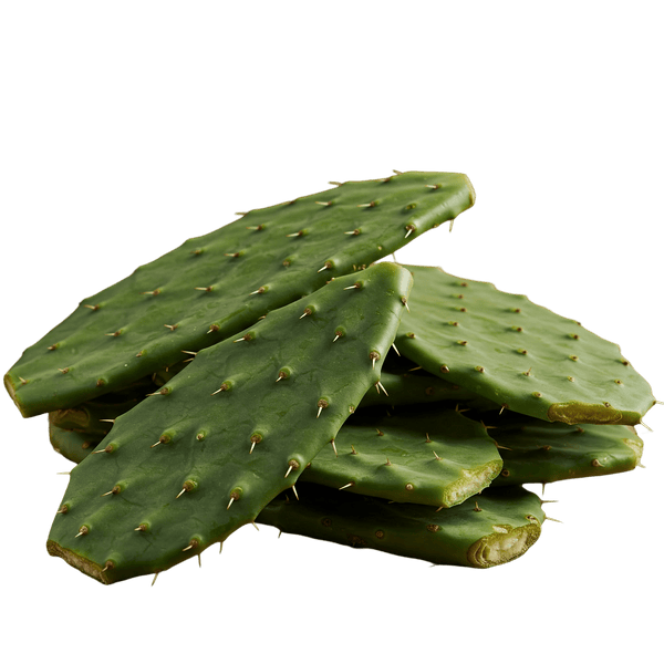 Nopales (cactus) Salsa Verde mild 12oz. - Tubac Gourmet Foods