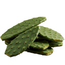 Nopales (cactus) Salsa Verde mild 12oz. - Tubac Gourmet Foods