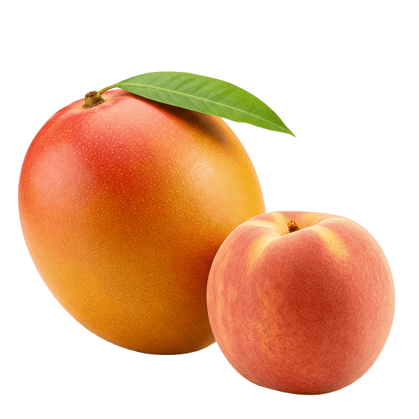 Peach Mango Balsamic Honey Mustard Dressing 12 oz. - Tubac Gourmet Foods