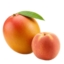 Peach Mango Balsamic Honey Mustard Dressing 12 oz. - Tubac Gourmet Foods