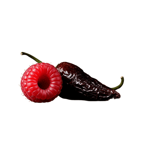 Raspberry Chipotle Balsamic Honey Mustard Dressing 12 oz. Bottle - Tubac Gourmet Foods