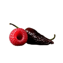 Raspberry Chipotle Balsamic Honey Mustard Dressing 12 oz. Bottle - Tubac Gourmet Foods