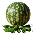 Watermelon Hatch Balsamic Honey Mustard Dressing 12 oz. - Tubac Gourmet Foods