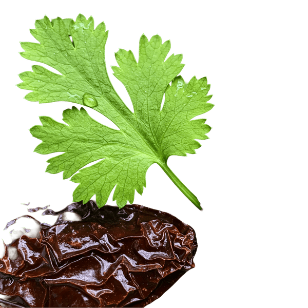 Cilantro Chipotle Olive Oil - Tubac Gourmet Foods