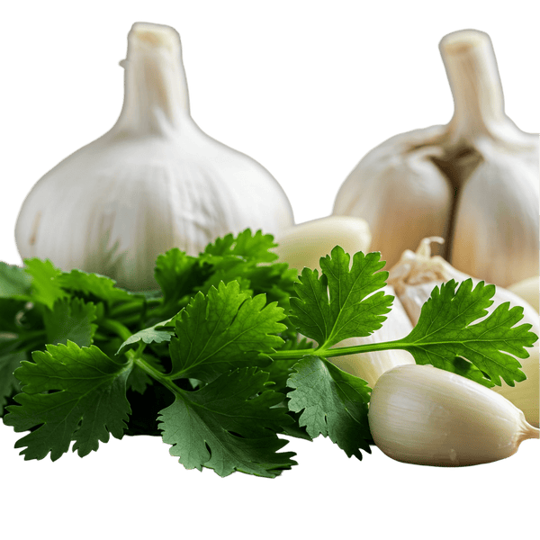 Garlic Cilantro Olive Oil - Tubac Gourmet Foods