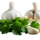 Garlic Cilantro Olive Oil - Tubac Gourmet Foods