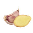 Garlic Ginger Olive Oil - Tubac Gourmet Foods
