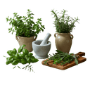 Italian Herb Olive Oil - Tubac Gourmet Foods