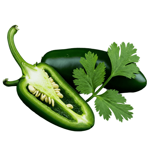 Jalapeño Cilantro Olive Oil - Tubac Gourmet Foods