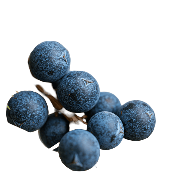 Juniper Berry Dark Balsamic Vinegar - Tubac Gourmet Foods