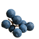 Juniper Berry Dark Balsamic Vinegar - Tubac Gourmet Foods