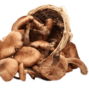 Mushroom Lover’s Olive Oil - Tubac Gourmet Foods