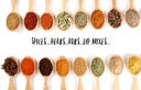 Smoky Onion Dip & Spread Mix - Tubac Gourmet Foods