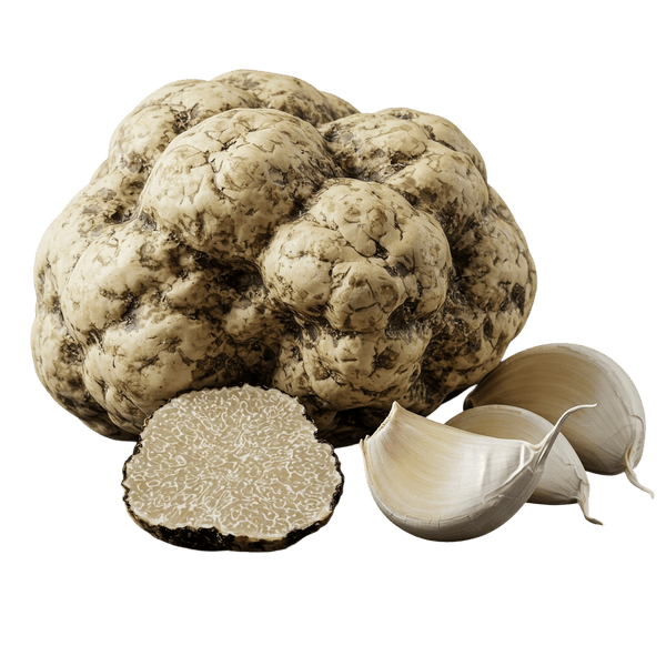 White Truffle Garlic Olive Oil - Tubac Gourmet Foods