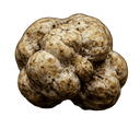 White Truffle Olive Oil - Tubac Gourmet Foods